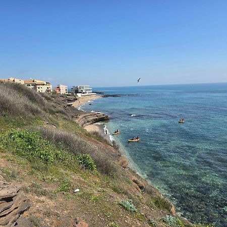 46 Ile Paradise Vue Port آجد المظهر الخارجي الصورة